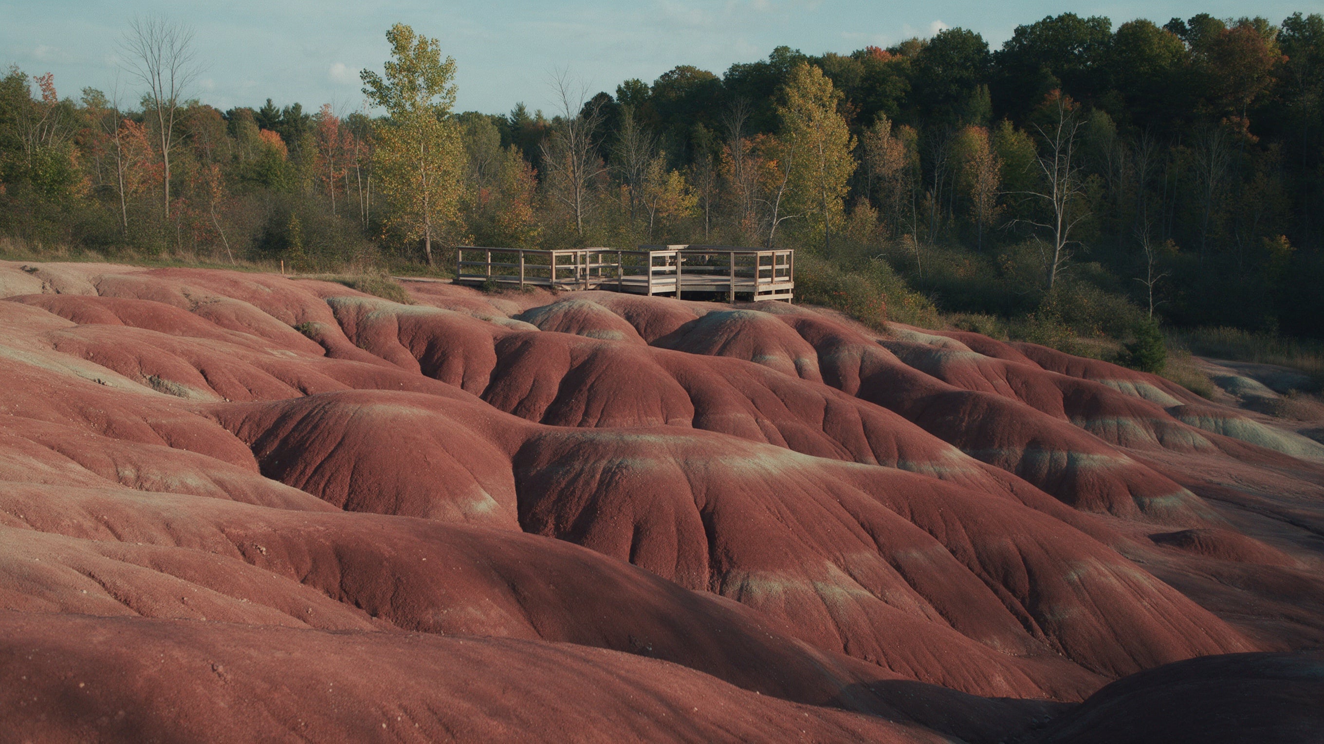 Rolling red shale hills of the Cheltenham Badlands
